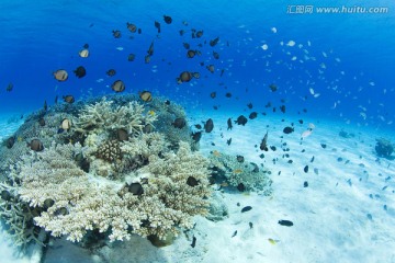 碧水蓝天