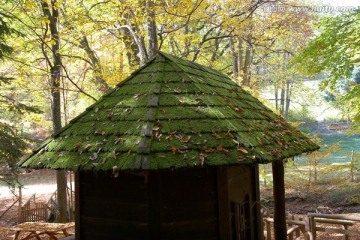 绿色屋顶的小屋