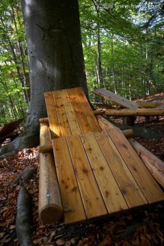 森林中的木椅