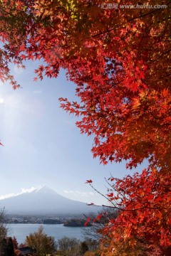 富士山