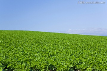 旅游度假区