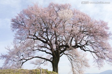 日本旅游度假区