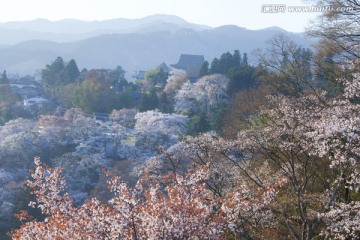 日本旅游度假区