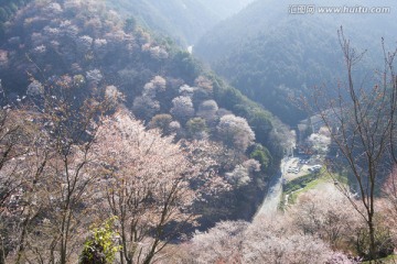 日本旅游度假区