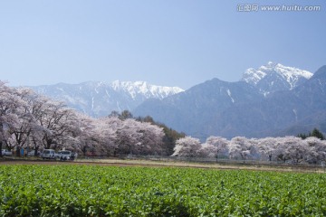 日本旅游度假区