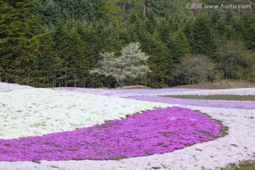 日本旅游度假区