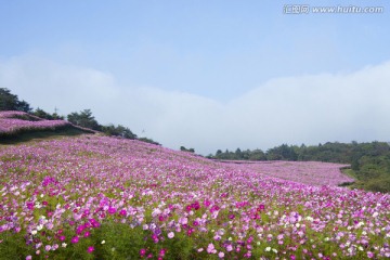 日本旅游度假区