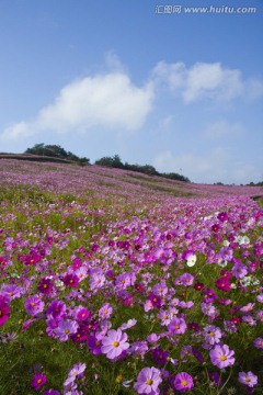 日本旅游度假区