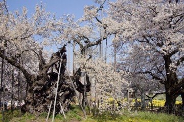 日本旅游度假区