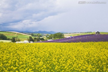 日本旅游度假区