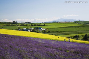 日本旅游度假区