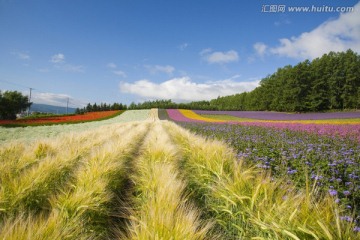 日本旅游度假区