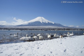 冬天富士山中湖