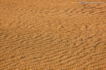 沙漠沙