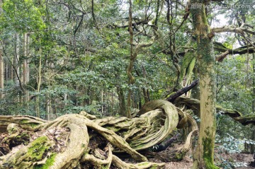 日本旅游度假区