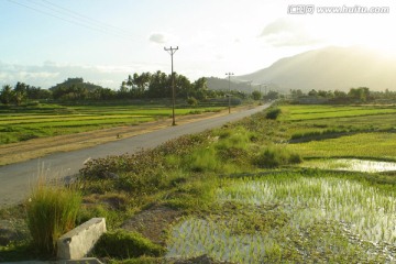 乡间小路