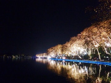 西湖 夜景