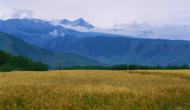 高原