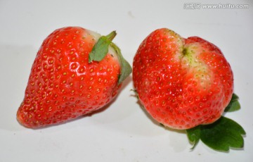 草莓