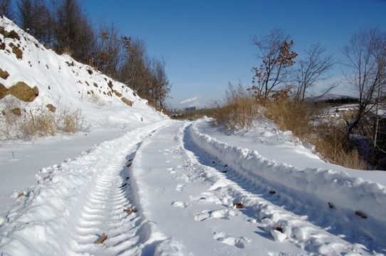 雪景
