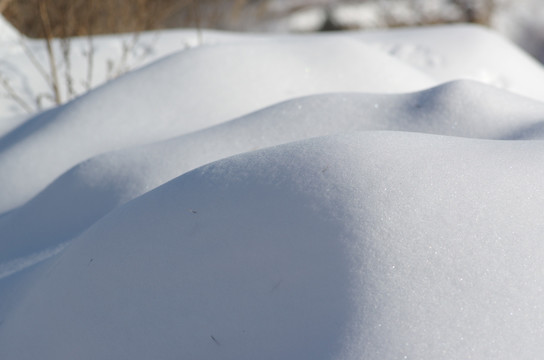 白雪