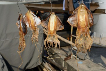 海鲜食材