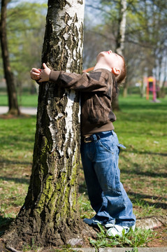 男孩拥抱树