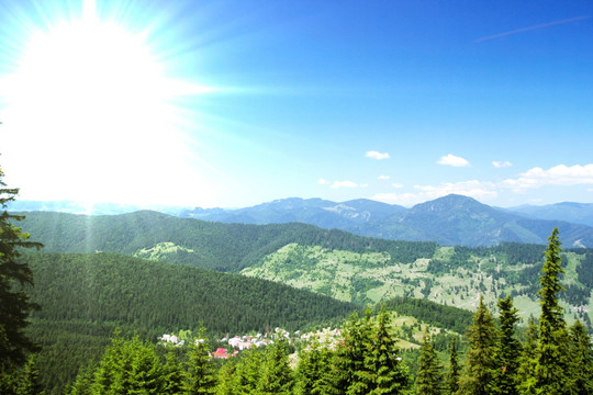 山地森林景观