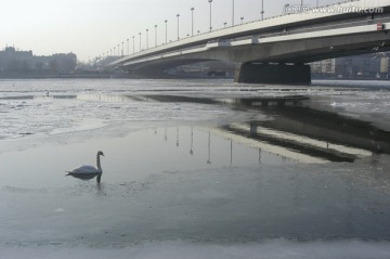 冰冻的多瑙河
