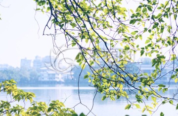 惠州西湖风景