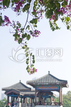 惠州西湖风景