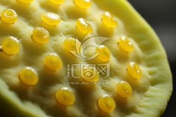 莲蓬 小莲蓬