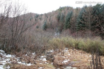 秦岭山间