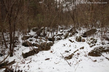秦岭山间