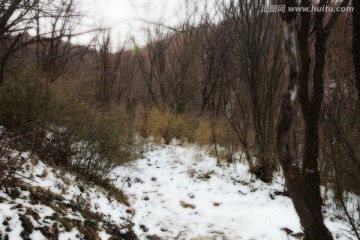 秦岭山间
