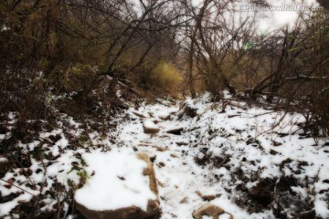 秦岭山间