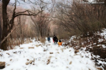 秦岭山间