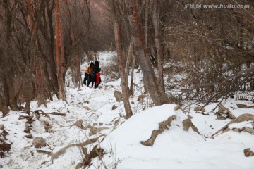 秦岭山间
