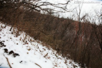 秦岭山间