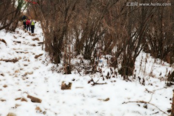秦岭山间
