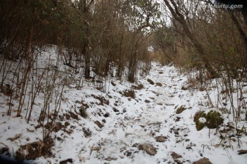 秦岭山间