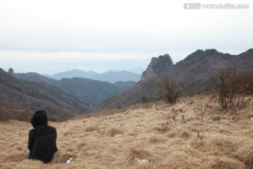 秦岭草甸