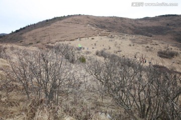 秦岭草甸