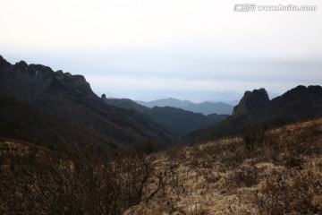 秦岭草甸