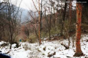 秦岭山间