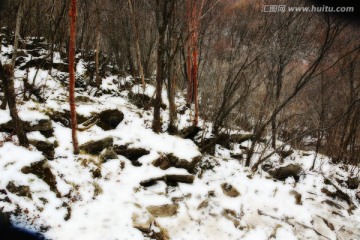 秦岭山间