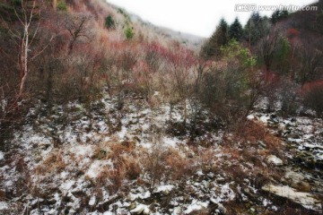秦岭山间