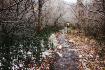 秦岭山间