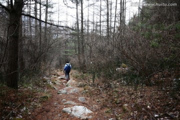 秦岭山间