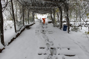 除雪